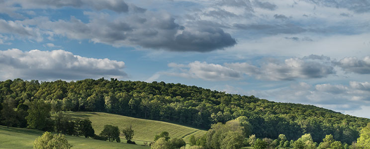 Hudson Valley Hillside